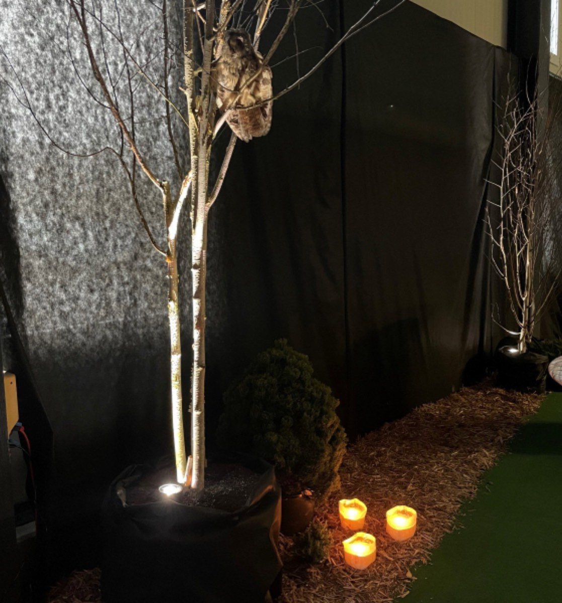 Märli-Event, Bild 37